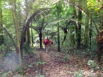 Jungle Resort Pingpe - boswandeling (2)