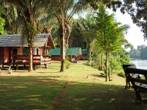 Jungle Resort Pingpe