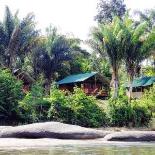 Jungle Resort Pingpe (4 of 5-dgn)