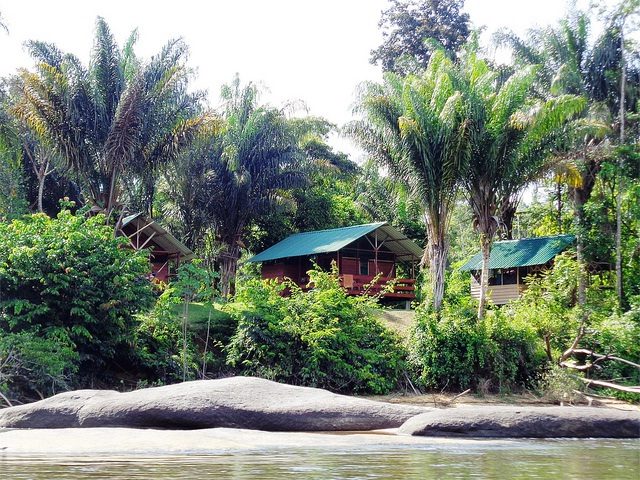 Jungle Resort Pingpe (4 or 5-days)