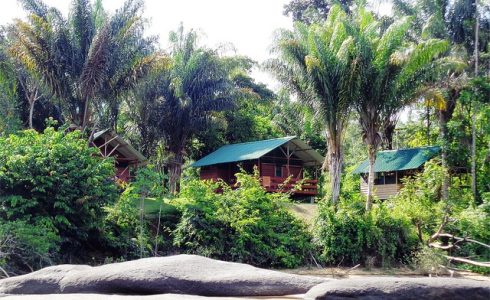 Jungle Resort Pingpe (4 or 5-days)