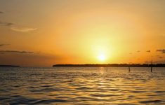 Sunset, Dolphins and caymans
