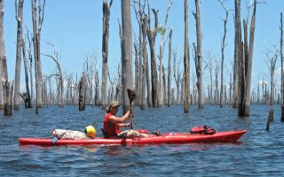 Brokopondo kayak tour (9-days)