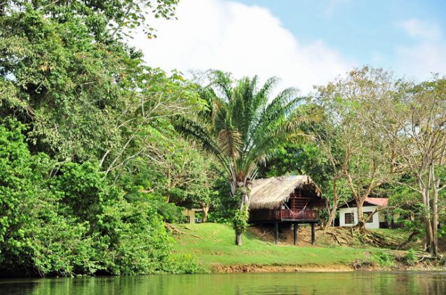 Danpaati River Lodge Multi cabin