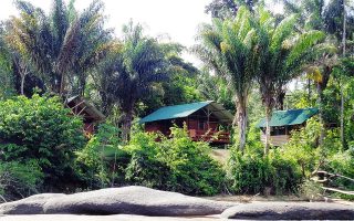 Jungle Resort Pingpe (4 or 5-days)