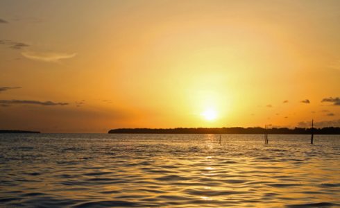 Sunset, Dolphins and caymans